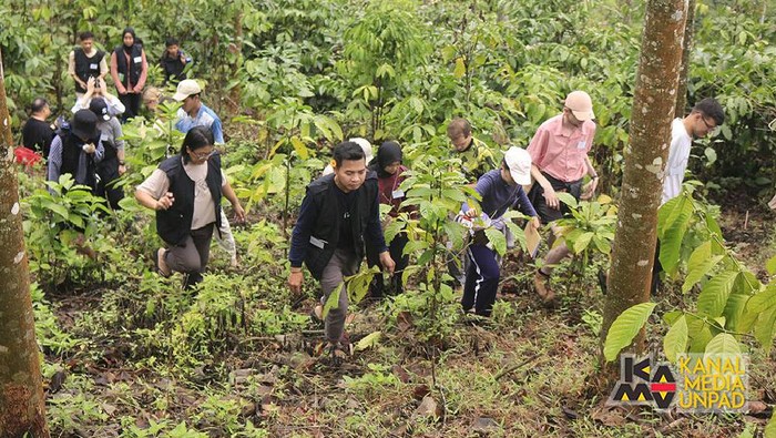 Fakultas Psikologi Unpad perkenalkan terapi forest healing untuk meredakan stres.