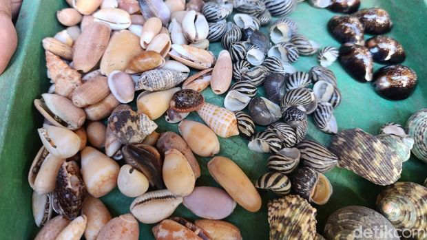 Kerajinan limbah laut Salpiah di Pangandaran