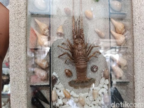 Kerajinan limbah laut Salpiah di Pangandaran