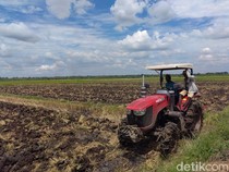 Penampakan Proyek Lumbung Padi Seluas 40 Hektare di Merauke