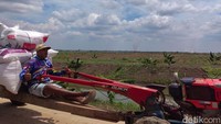 Hermanto menyebut target tersebut kemungkinan baru tercapai di 2-4 tahun mendatang berbarengan dengan target swasembada pangan. Saat ini Kementan terus mengoptimalkan infrastruktur pertanian di Merauke, baik dalam program oplah maupun cetak sawah, salah satunya di Kampung Telaga Sari, Distrik Kurik, Merauke, Selasa (24/9/2024).