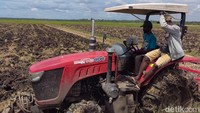 Kepala Kampung Telaga Sari, Riyanto menjelaskan, bantuan yang diterima warga dalam program oplah mencakup alat-alat pertanian. Lalu, dari 1.058 hektare lahan oplah di tempatnya, ada 450 kepala keluarga yang ikut terlibat.