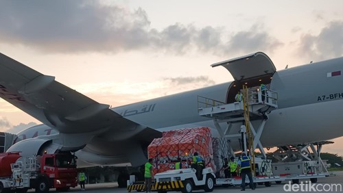Pesawat Boeing 777 Qatar Cargo dengan nomor penerbangan QR8588 saat bongkar muat di Bandara Internasional Lombok. Foto: (Edi Suryansyah/detikBali)