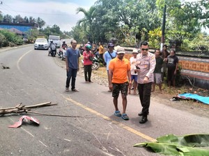 Pemotor di Banggai Tewas Terlindas Truk, Diduga Keluar Jalur Saat Tikungan