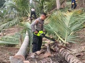 Warga Trenggalek Terdampak Angin Kencang Dapat Bantuan Tenaga dan Bansos