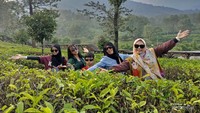 Menikmati indahnya suasana di tengah kebun teh Gunung Mas Puncak sambil berfoto.