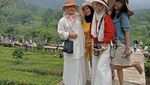Inilah Tempat Menginap dengan Suhu Paling Dingin di Puncak Bogor