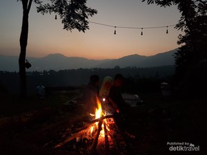 Sensasi Kemping Diiringi Auman Singa di Bogor