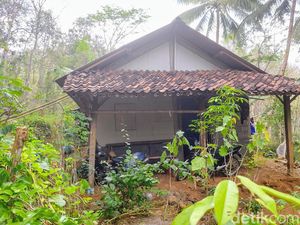 Heboh Sekeluarga Hidup di Kampung Pasar Setan Purworejo, Begini Faktanya