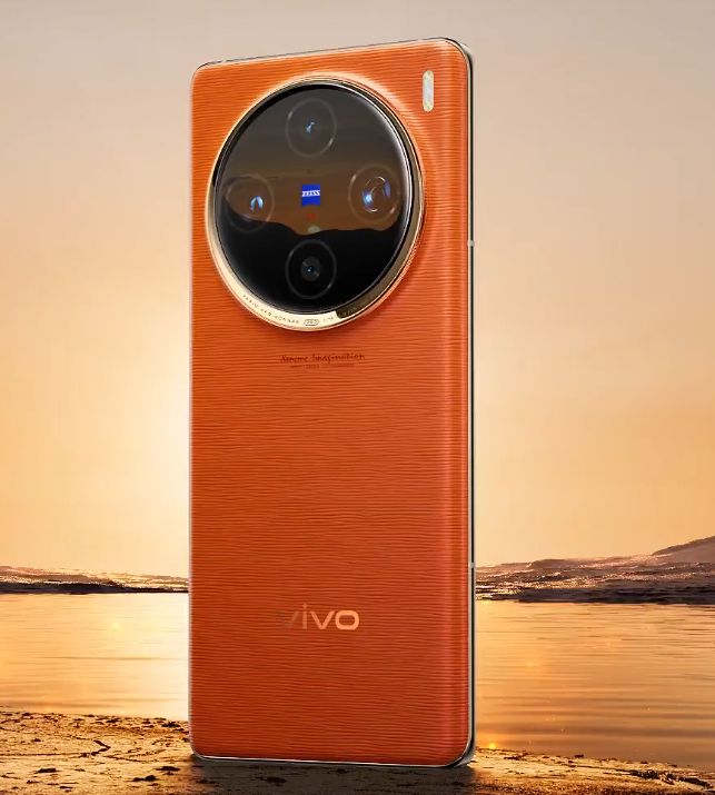 Vivo X 100 Pro.