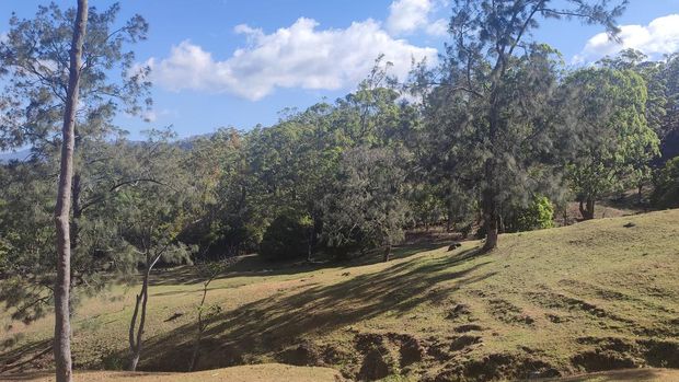 Bukit Cinta Oelbinose Timor Tengah Utara, NTT