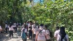 Potret Tanaman Langka Endemik Menuju Punah, di Dunia Cuma Ada di Jember!