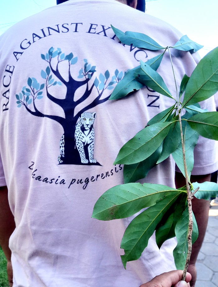 Dehaasia pugerensis, flora endemik terancam punah. Di dunia hanya ada di Jember. Dehaasia pugerensis, flora endemik terancam punah. Di dunia hanya ada di Jember.