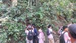 Potret Tanaman Langka Endemik Menuju Punah, di Dunia Cuma Ada di Jember!