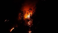 Ekuador menghadapi kebakaran hutan yang meluas di tengah musim kemarau yang melanda negara tersebut.