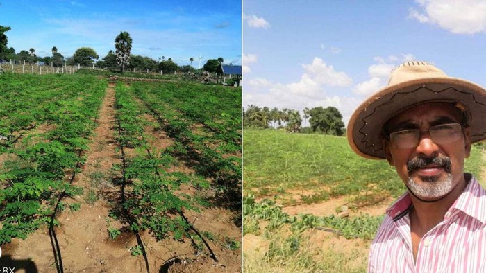 Ilmuwan Ini Alih Profesi Jadi Petani Kelor Demi Tujuan Mulia