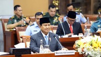 Prabowo menghadiri rapat ini menjelang akhir jabatan periode 2019-2024. Rapat ini dengan agenda mengambil persetujuan sejumlah Rancangan Undang-Undang (RUU) kerja sama bidang pertahanan.  