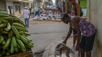 Menurut direktorat layanan kota provinsi, ibu kota hanya memiliki lebih dari setengah peralatan yang dibutuhkan untuk pengumpulan sampah, dengan 100 truk sampah. Namun, kendaraan yang merupakan sumbangan dari Jepang itu mulai rusak tahun lalu.  