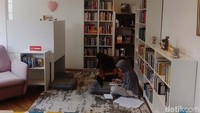Di perpustakaan ini pun pengunjung dapat meminjam buku, dengan catatan telah menjadi member. Mulai dari meminjam satu buku hingga maksimal tiga buku, durasi peminjaman buku pun selama tiga minggu.  