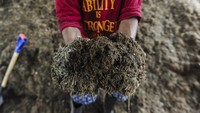 Pemerintah Kabupaten Pandeglang mengolah limbah sampah organik dan nonorganik menjadi biomassa yang dipakai sebagai bahan bakar pengganti batu bara (co-firing) untuk PLTU Labuan dengan rata-rata produksi hasil bahan bakar jemput padat (BBJP) per bulan mencapai 30 ton.