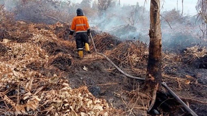 Petugas saat melakukan pemadaman dan pendinginan karhutla yang mengarah ke permukiman.