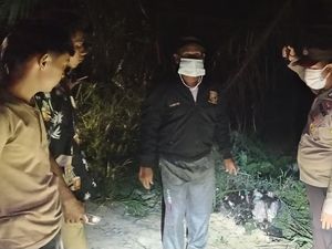 Pria di Bengkalis Bunuh Ayah Tiri gegara Kesal Ibu Sering Dimarahi