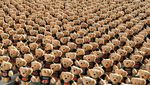 Ribuan Teddy Bear Berbaris di Qatar, Lambangkan Korban Anak di Gaza