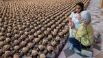 Ribuan Teddy Bear Berbaris di Qatar, Lambangkan Korban Anak di Gaza