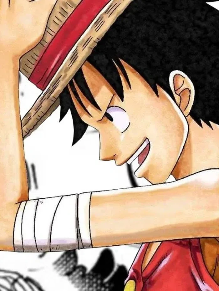 Serial manga One Piece Serial manga One Piece