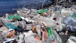 TPS Ditutup, Warga Libya Buang Sampah ke Pantai