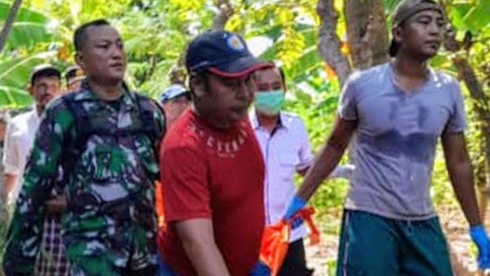 Warga Situbondo tewas tertimpa pohon