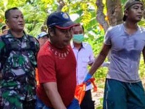 Pria di Situbondo Tewas Mengenaskan Tertimpa Pohon Kelapa Saat Ditebang