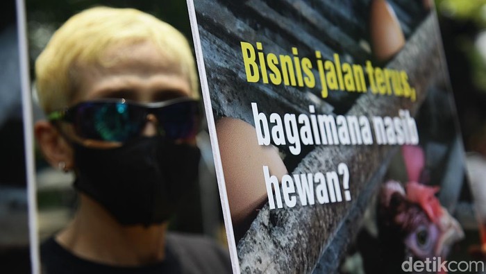 Animal Friends Jogja dan Sinergia Animal Indonesia melakukan aksi teatrikal di Jl Hos Cokroaminoto, Menteng, Jakarta. Aksi ini mendesak kepada perusahaan restoran mengadopsi kebijakan bebas sangkar.