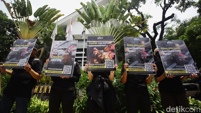 Animal Friends Jogja dan Sinergia Animal Indonesia melakukan aksi teatrikal di Jl Hos Cokroaminoto, Menteng, Jakarta. Aksi ini mendesak kepada perusahaan restoran mengadopsi kebijakan bebas sangkar.