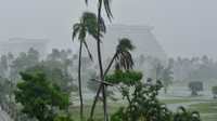 Menurut laporan Reuters, badai ini menumbangkan pohon, tiang listrik, dan merusak atap bangunan.   