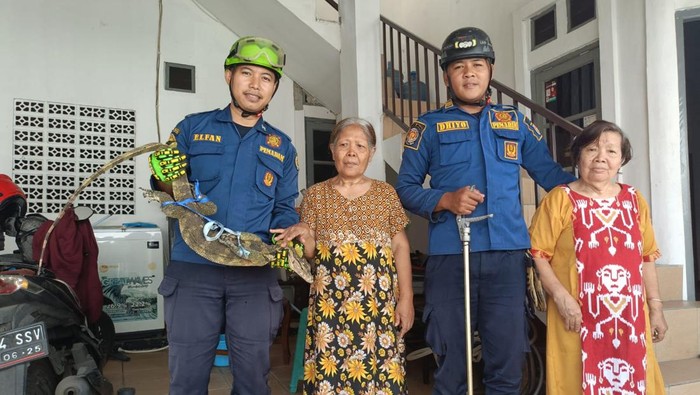 Biawak Masuk ke Rumah Lansia di Depok