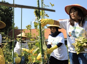 Upaya BRI Dukung Pemberdayaan Wanita-Jaga Lingkungan Berbuah Penghargaan