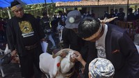 Juri memeriksa gigi domba dalam Expo Peternakan dan Kontes Ternak 2024 di Kompleks Pasar Hewan, Indihiang, Tasikmalaya, Jawa Barat, Kamis (26/9/2024).  