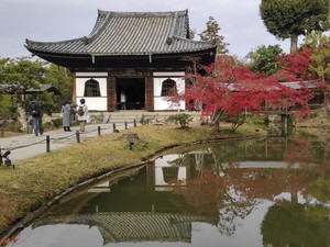 Kuil Kyoto Lelah dengan Ulah Turis yang Buang Sampah Sembarangan