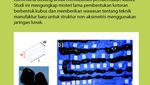Infografis: Misteri Pup Bentuk Kubus Hewan Wombat, Unik!