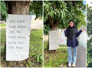 Buah Mangganya Kerap Diincar Orang, Pemilik Tulis Catatan Kocak