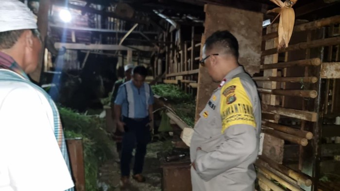 Polisi cek TKP pencurian kambing di Depok (dok istimewa)