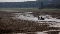 Kemarau parah tengah melanda kawasan di Amazon yang menyebabkan kekeringan dan kebakaran hutan. 