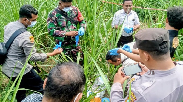 Pria Jember ditemukan tewas di kebun tebu di Situbondo