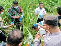 Warga Jember Ditemukan Tewas di Kebun Tebu Situbondo, Diduga Dibunuh