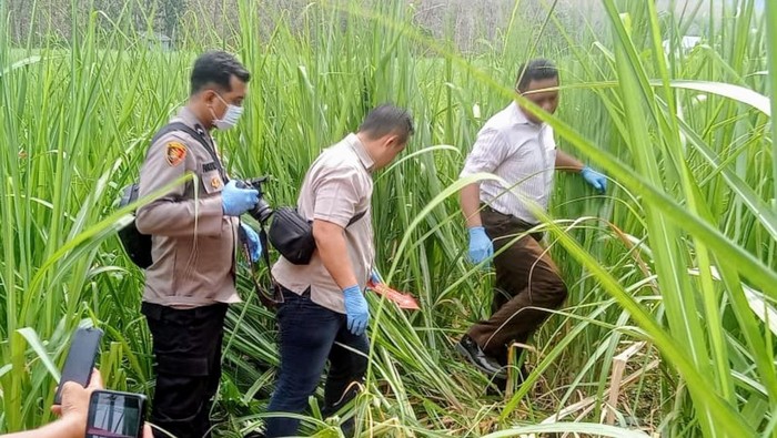 Pria Jember ditemukan tewas di kebun tebu di Situbondo
