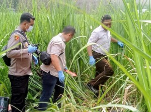 Misteri Tewasnya Pria di Kebun Tebu Usai Pamit Cari Kerja ke Surabaya