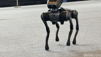 Dari segi dimensi, Dynamic 1 memiliki ukuran 700 x 310 x 400 mm saat berdiri tegak, memberikan postur yang mirip dengan anjing asli. Ketika dalam posisi berbaring, dimensinya berubah menjadi 760 x 310 x 200 mm. Foto: Adi Fida Rahman/detikINET