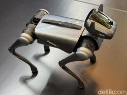 Aksi Robot Anjing Pintar Tecno Dynamic 1 yang Menggemaskan