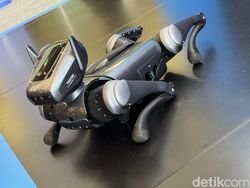 Aksi Robot Anjing Pintar Tecno Dynamic 1 yang Menggemaskan